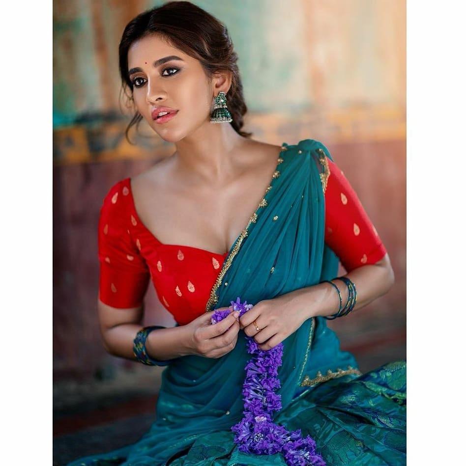 South Indian actress hot photos| Nabha Natesh in transparent half ...